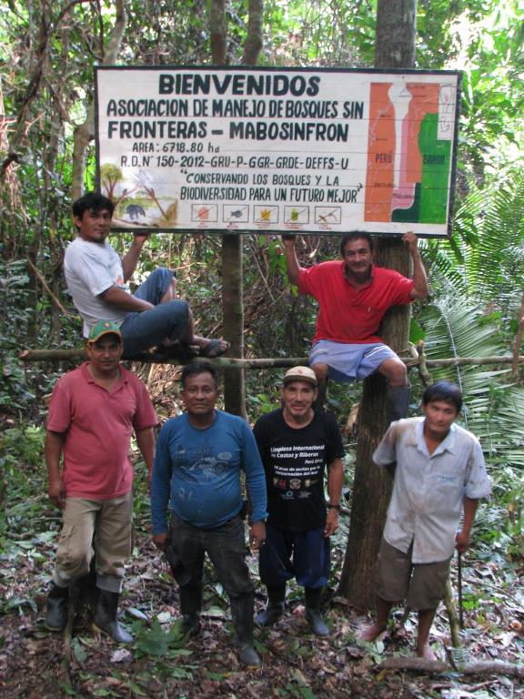 Los asociados al comité MABOSINFRON administran un bosque en concesión de 6,718.80 hectáreas en el sector del río La Novia. Foto de WWF Perú