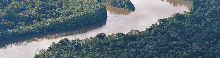 Foto Conservación Amazónica -ACCA