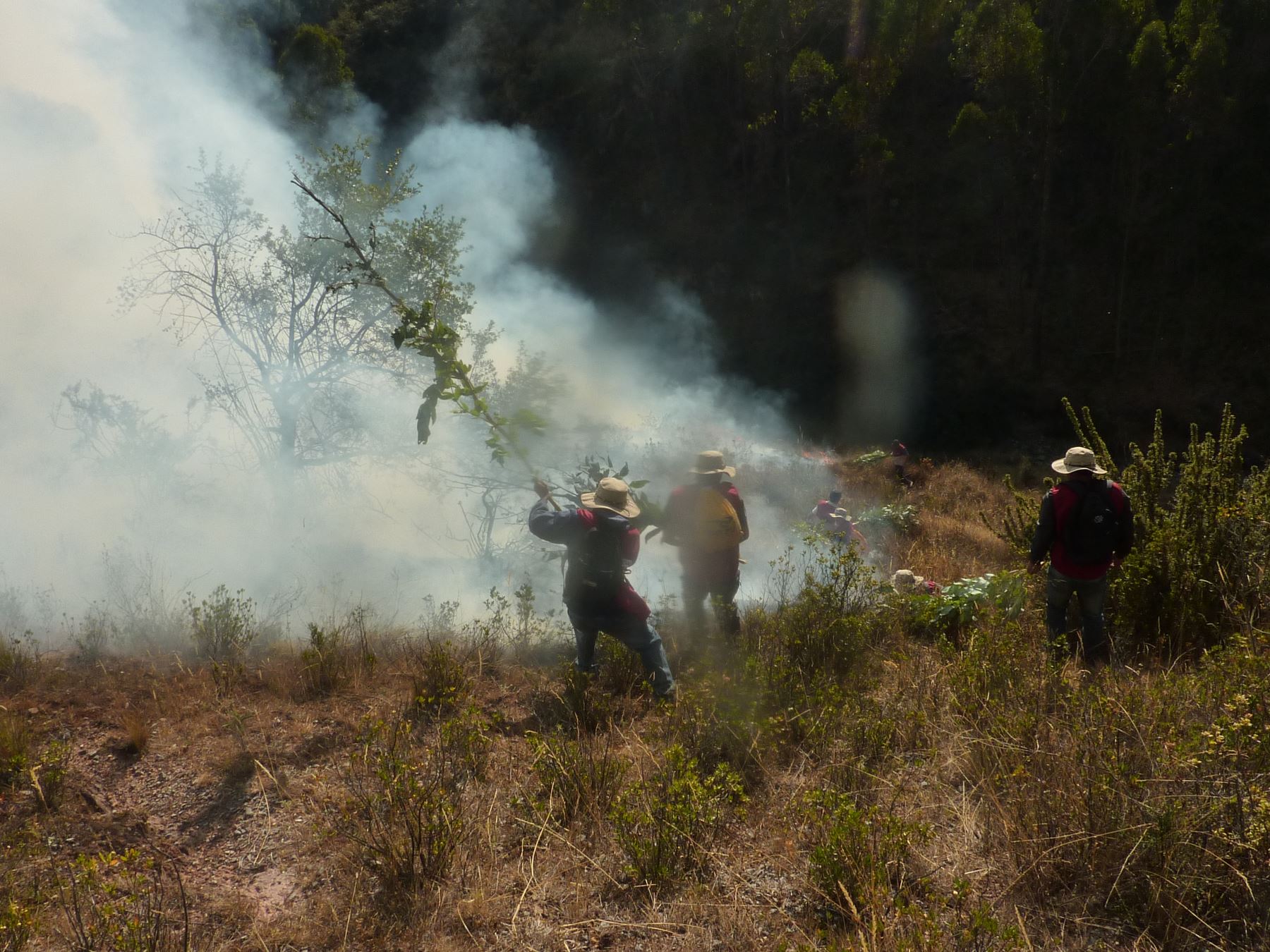 16. Incendios, agencia Andina